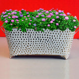 Ivory Rectangle Pots with Golden Dots for Home Gardening