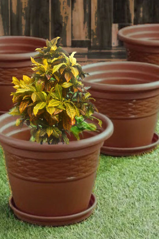 Decorative Florina plastic pot
