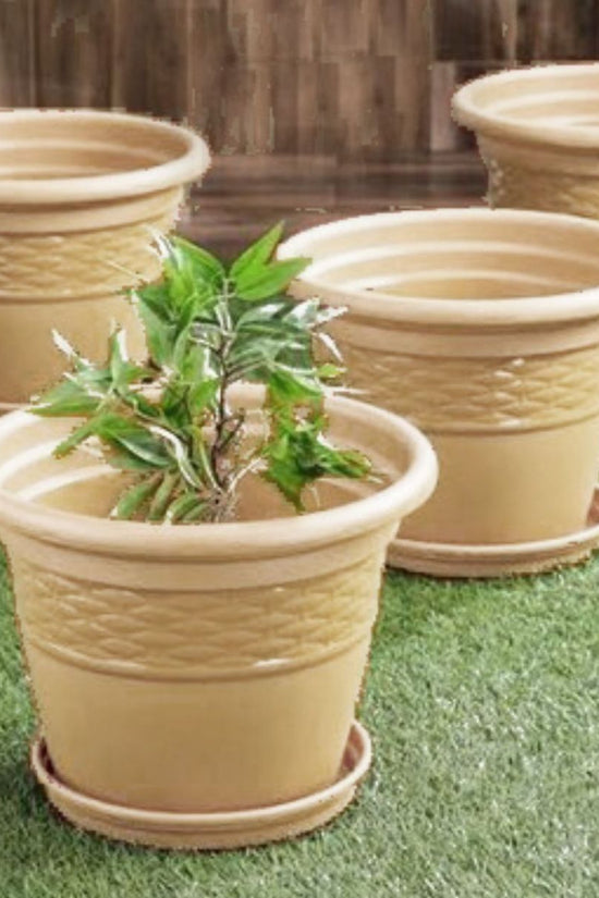 Decorative Florina plastic pot

