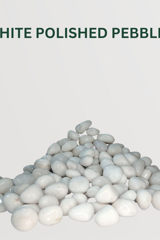 Polished Pebble Combo White Polished Pebbles- Gardengram 