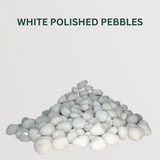 Polished Pebble Combo White Polished Pebbles- Gardengram 