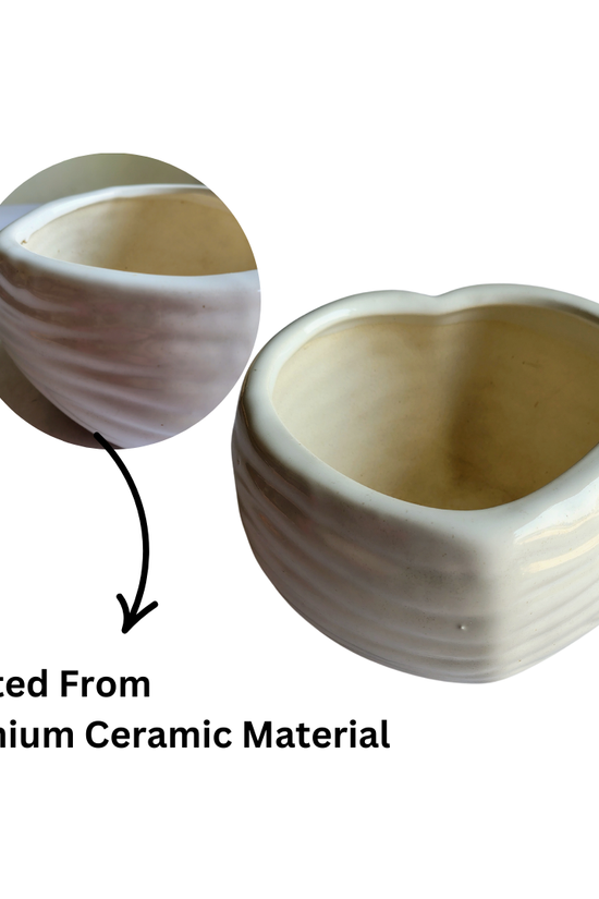 Heart-shaped white ceramic planter for indoor plants