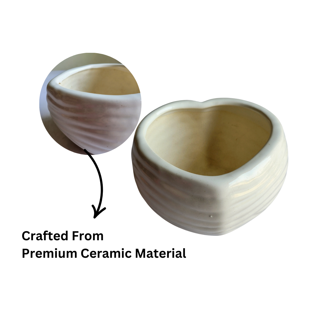 Heart-shaped white ceramic planter for indoor plants