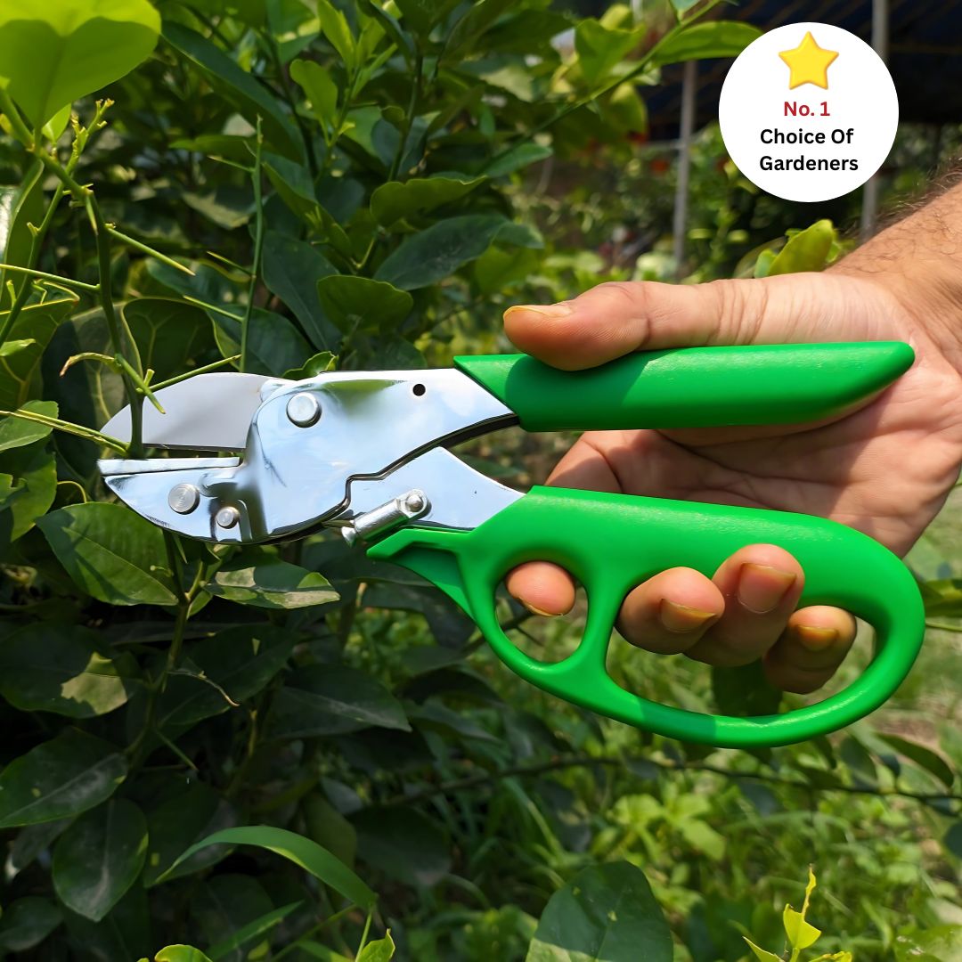 Gripping green-handled pruning shears while cutting a plant stem