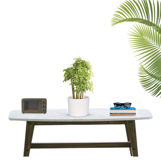 White ceramic pot - simple and classy
