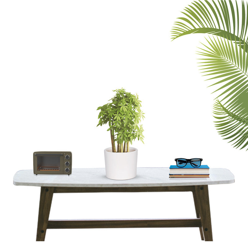 White ceramic pot - simple and classy
