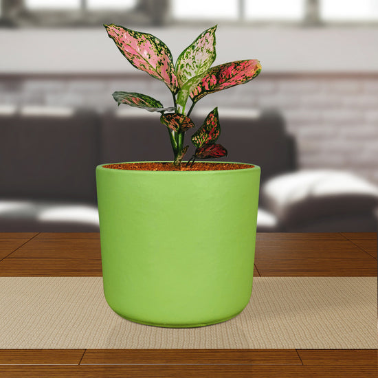 Mint color ceramic planter
