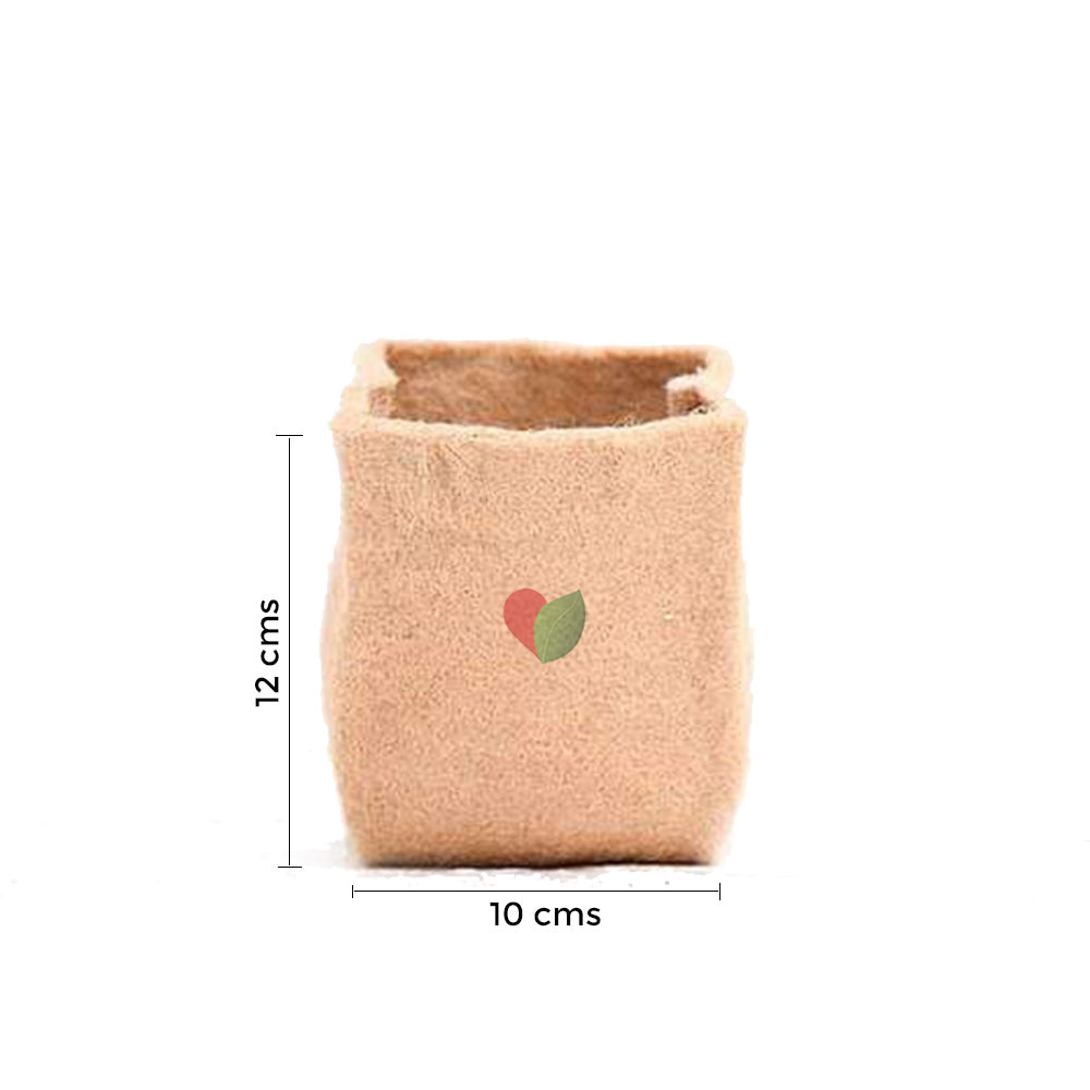 Jute fabric grow bag

