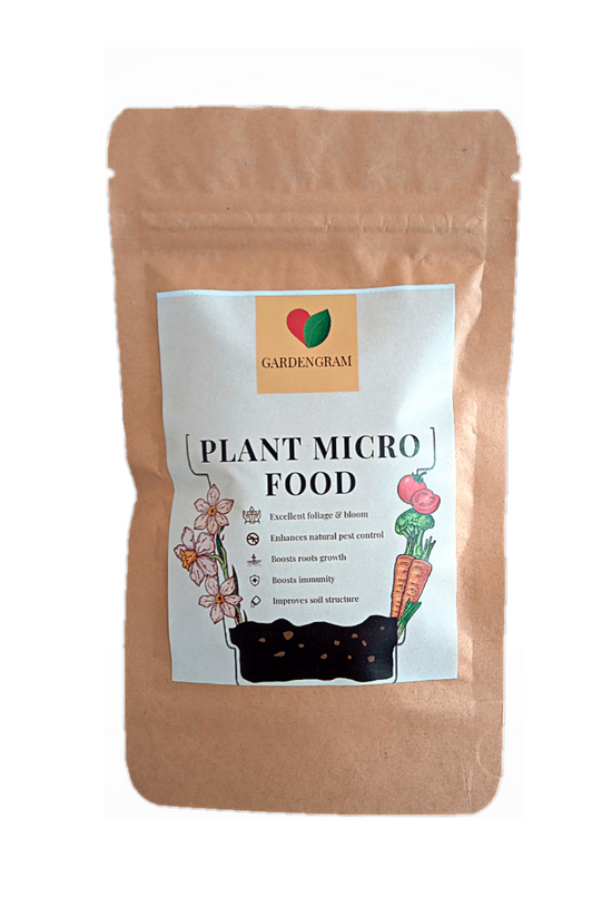 Plant care essentials combo
