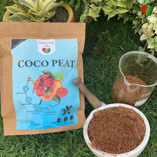 Neem-enriched cocopeat potting mix
