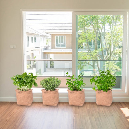 Jute fabric grow bag

