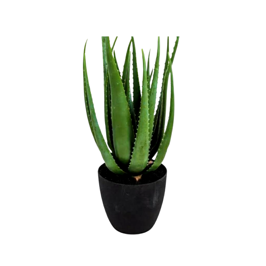 Relaxation and anti-anxiety plant set
