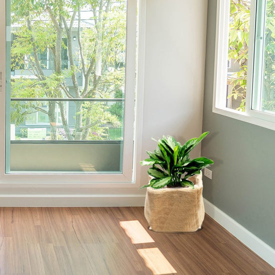 Jute fabric grow bag

