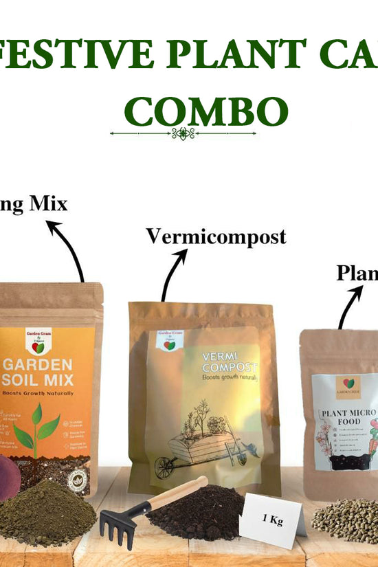 Plant care essentials combo
