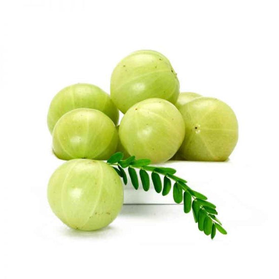 Small Amla plant for balcony gardens
