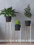 3 Pot Set Stand  Elegant Planters for Home and Office - Gardengram