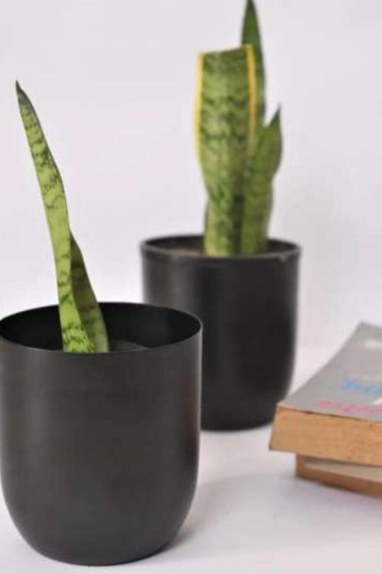 Matte black table planter
