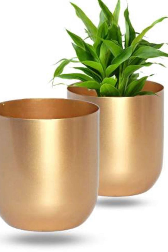 Small gold planter for shelf or table
