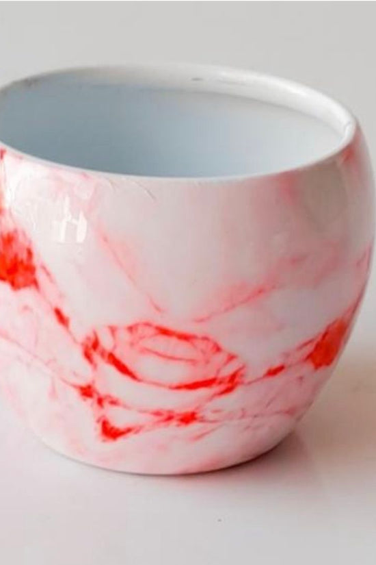 Dream apple planters for desk decor
