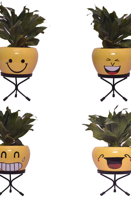 Emoji face planters for kids
