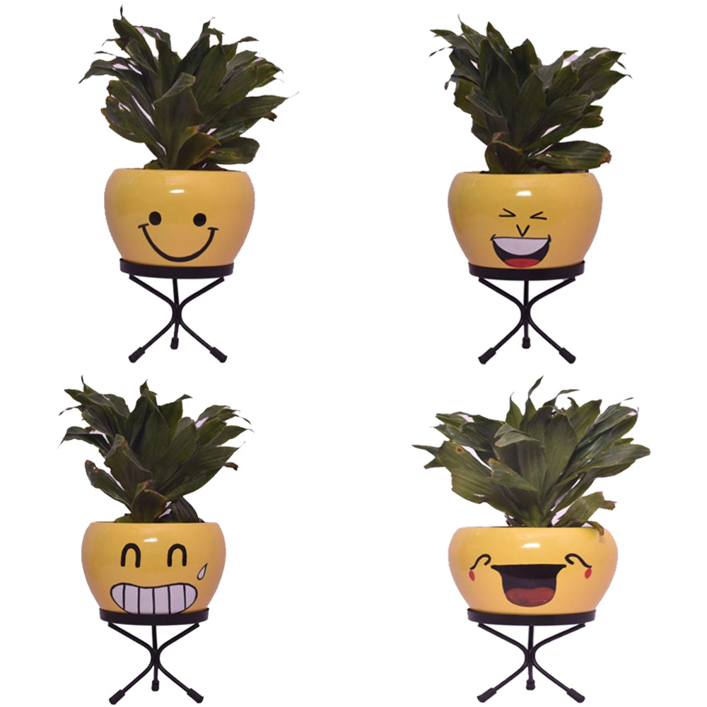 Emoji face planters for kids

