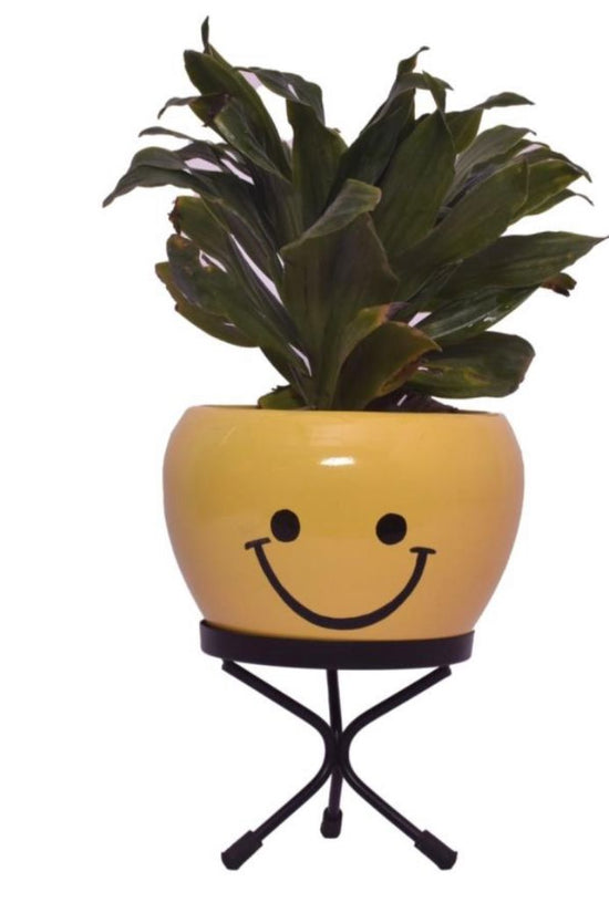 Emoji face planters for kids
