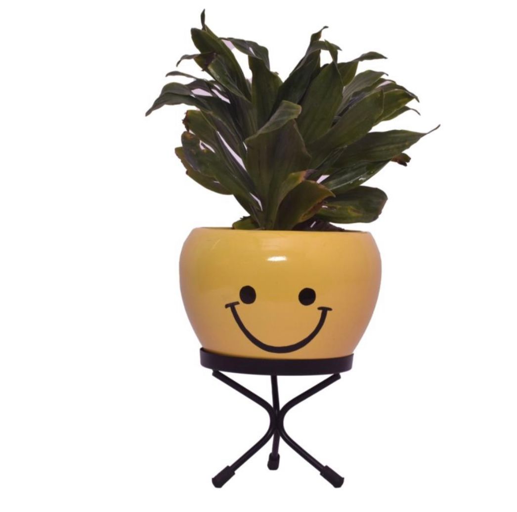 Emoji face planters for kids
