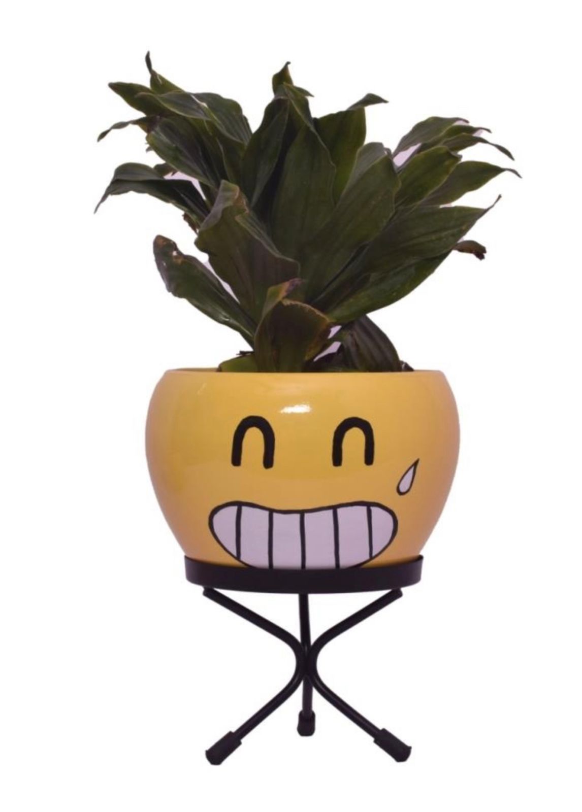 Emoji face planters for kids
