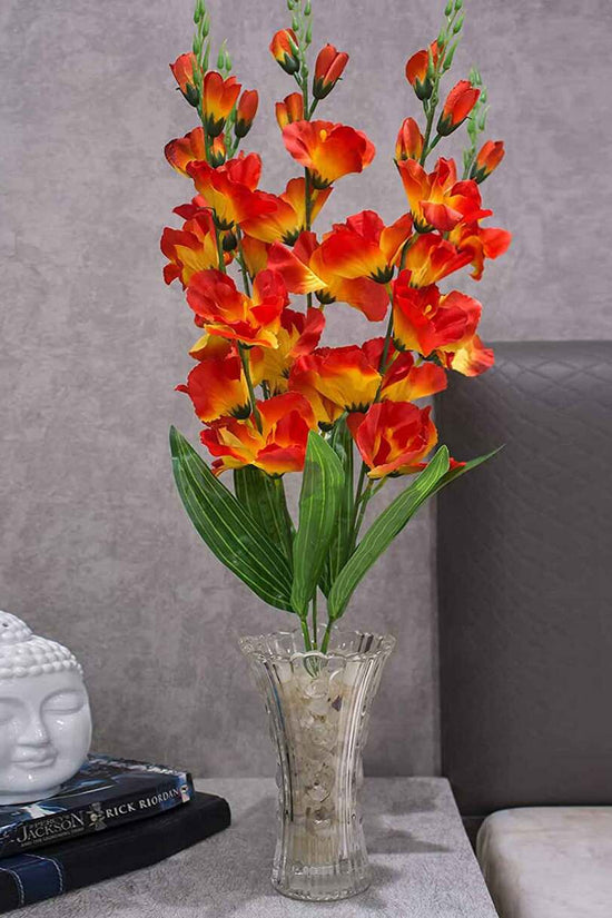 Gladiolus flower plant
