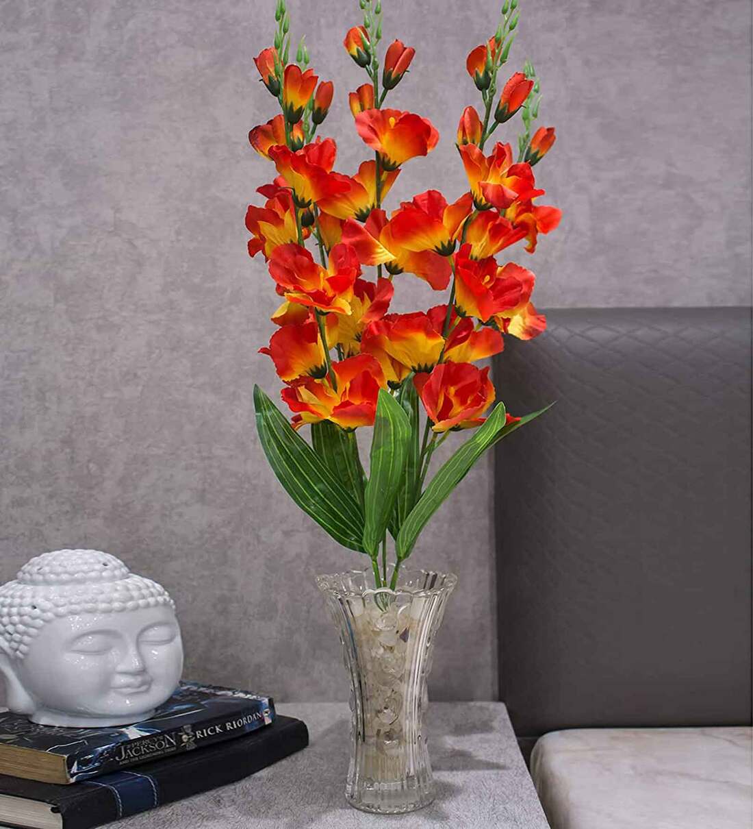 Gladiolus flower plant

