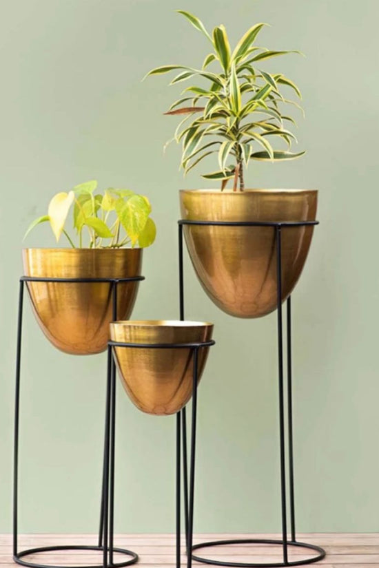Golden indoor pot and stand combo

