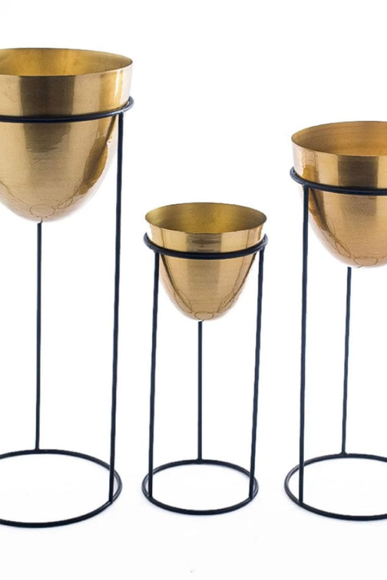 Golden indoor pot and stand combo
