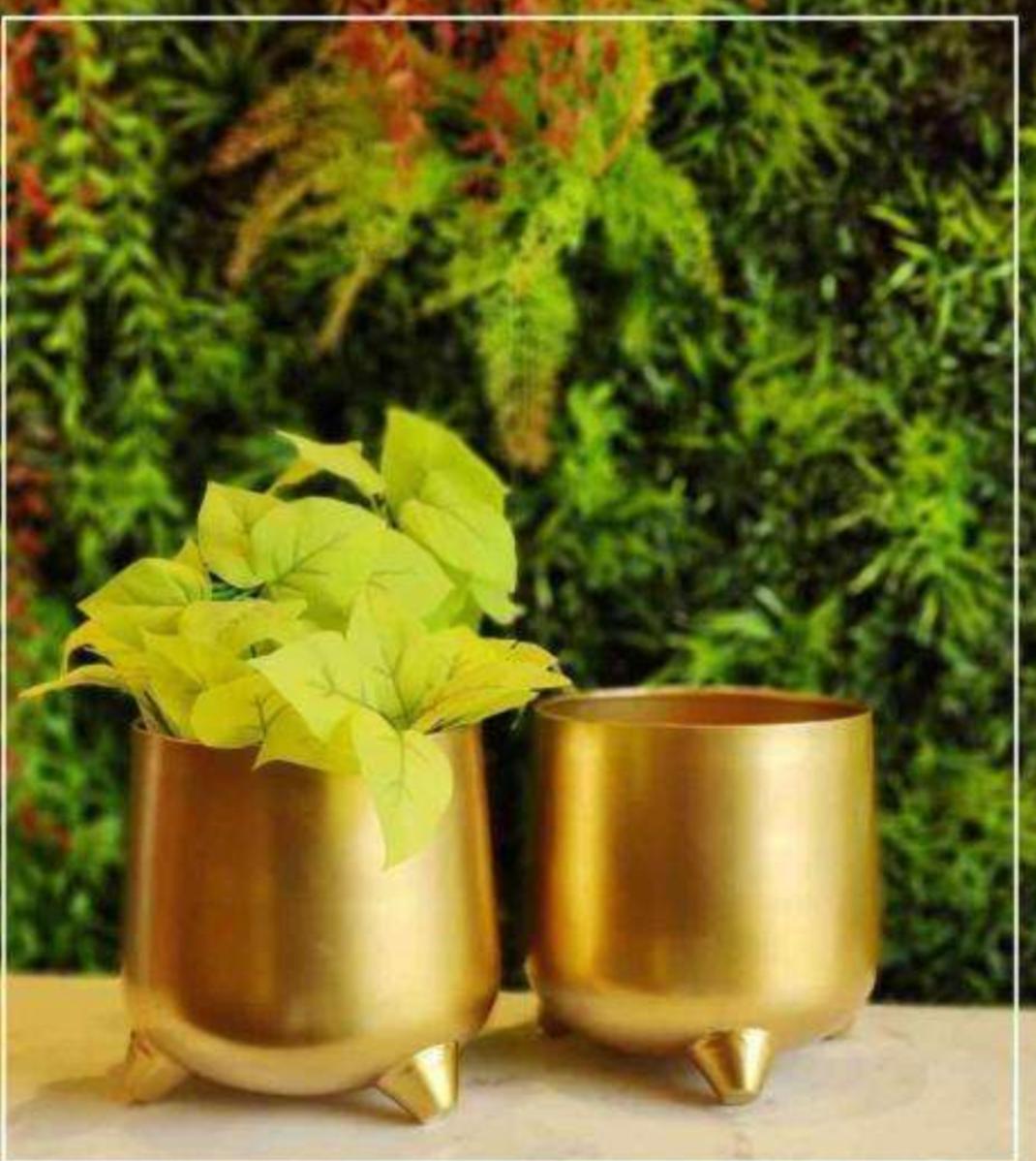 Golden pot for indoor plants