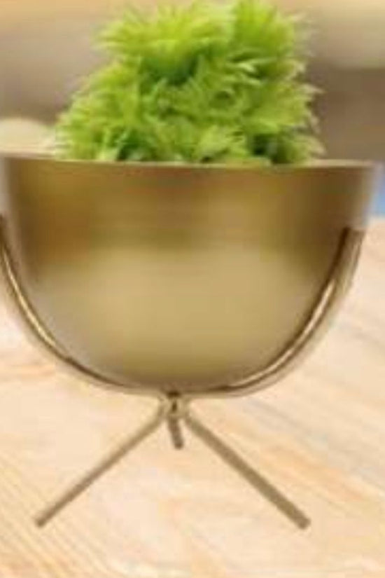 Gold finish indoor planter combo
