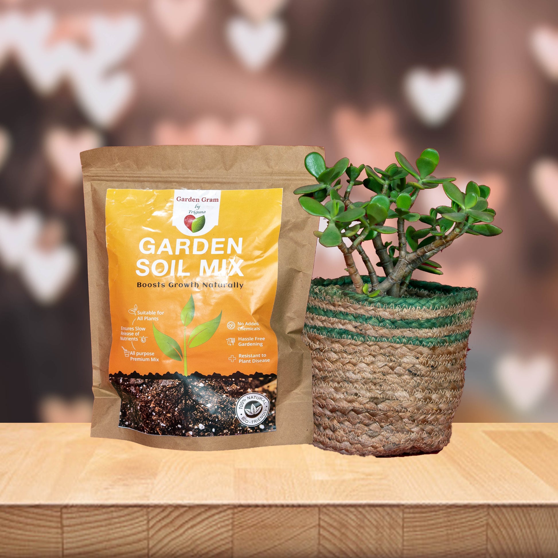 Gifting combo – planter + pot
