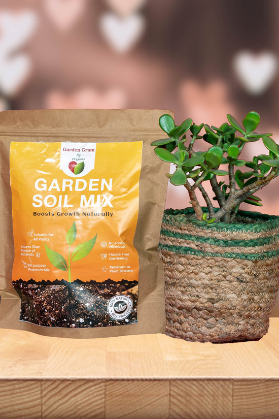 Garden soil mix – organic and nutrient-rich
