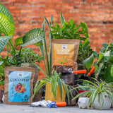 Premium Gardening Kit - Gardengram