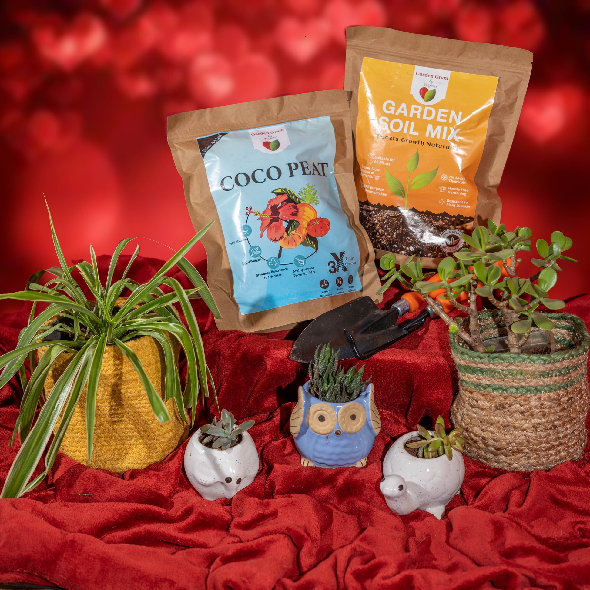 Home decor pot and planter set
