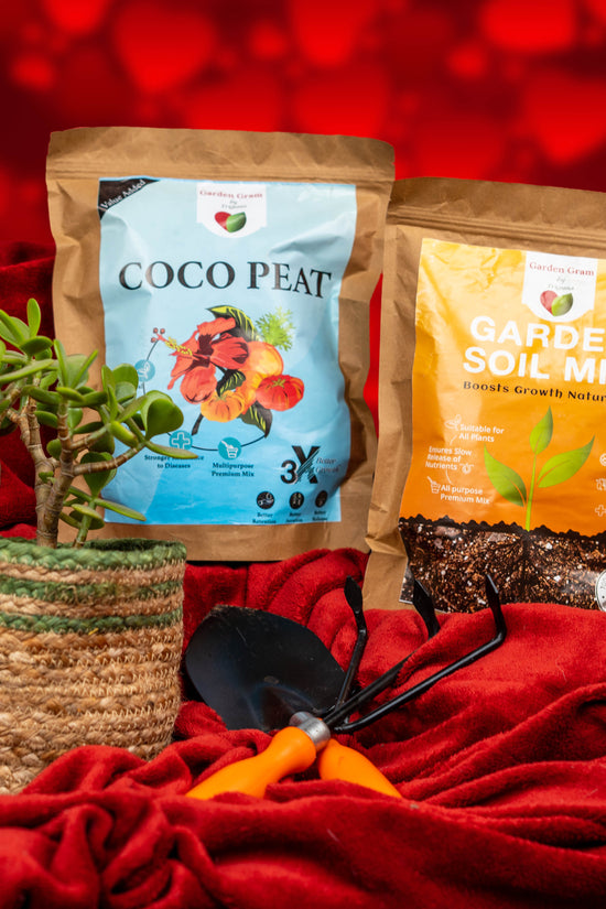 Gardening kit with tools and accessories
