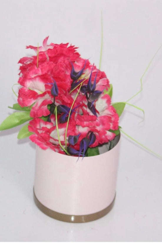 Indoor table plant pots for gifts
