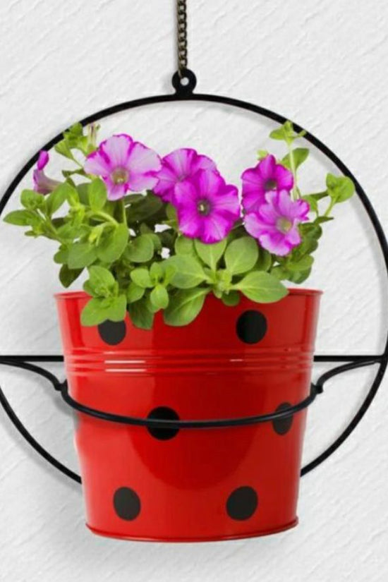 Metallic hanging pot stand with planter
