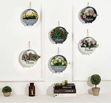 Round Black Metal wall Planter for homes | Set of 1 hanging round planter