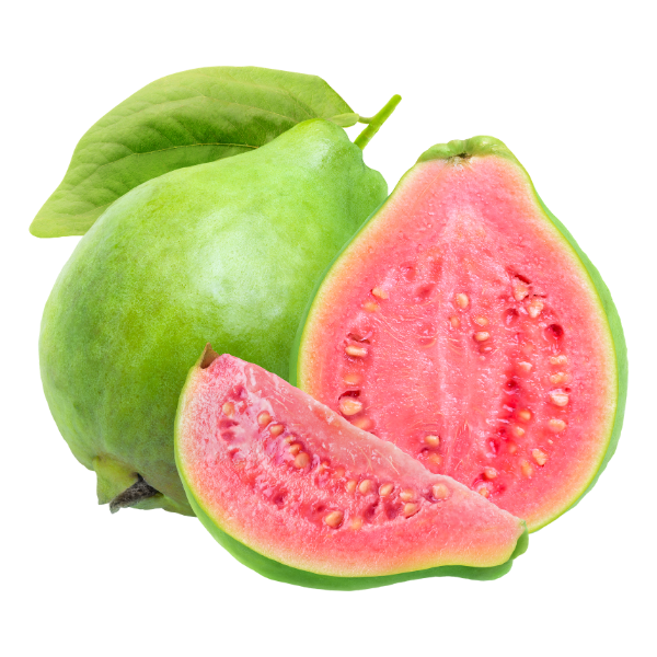 Taiwan pink Amrud guava plant
