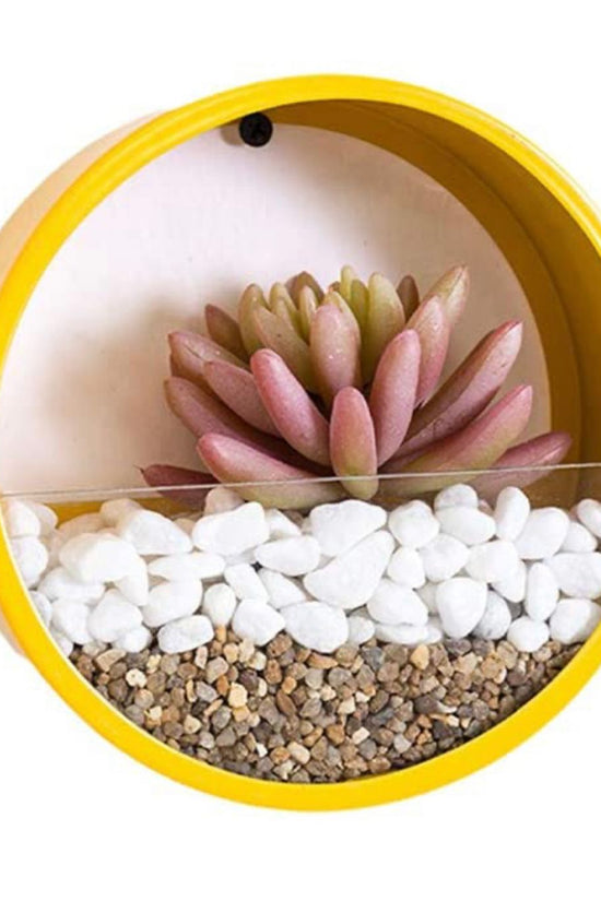 Iron wall hanging planters | Set of 4