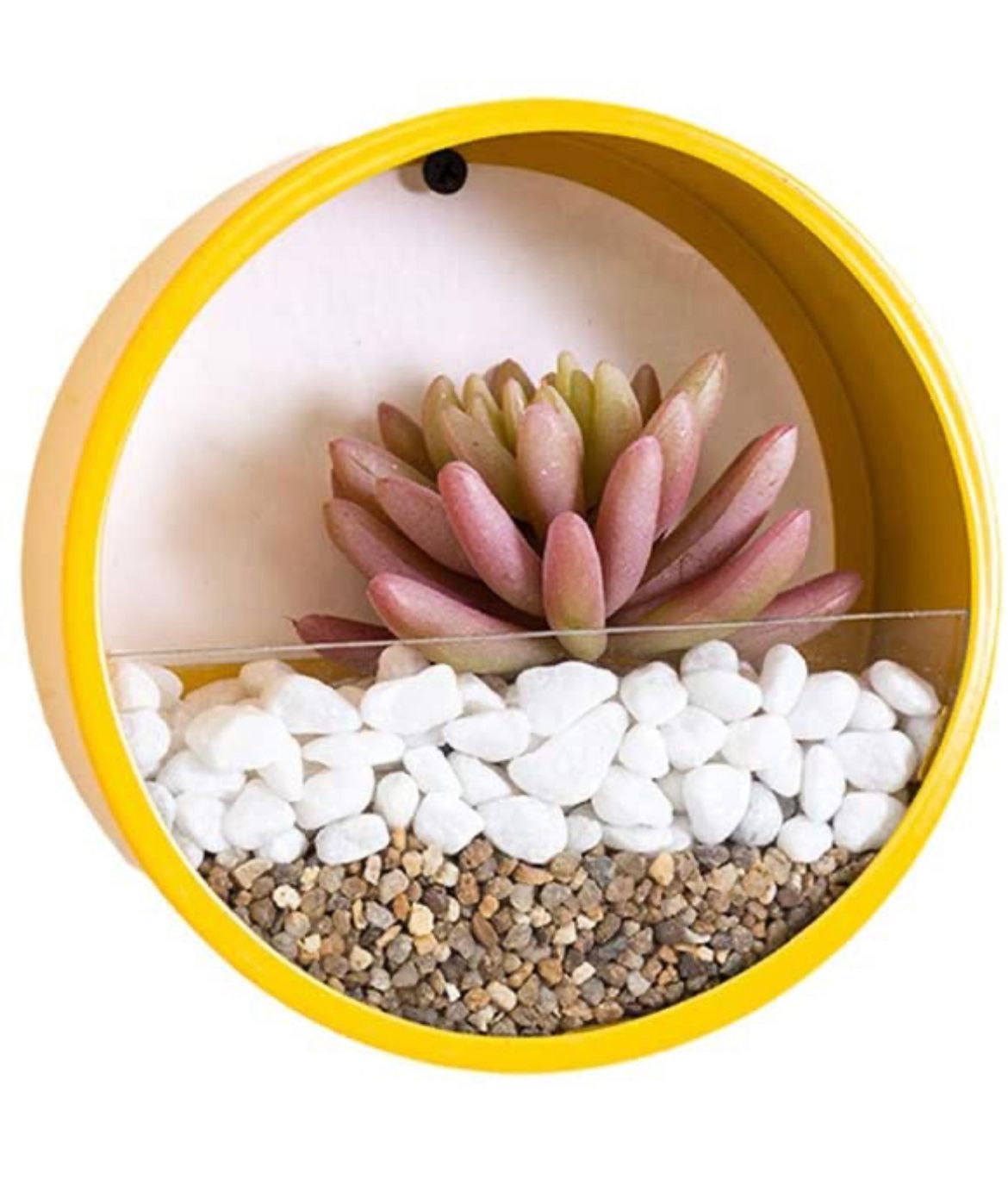 Iron wall hanging planters | Set of 4