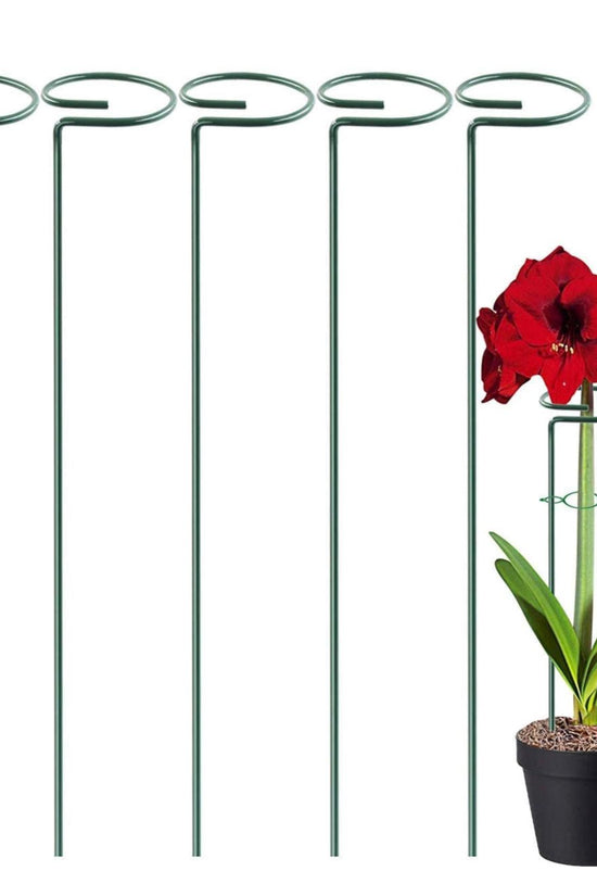 Garden plant support sticks set

