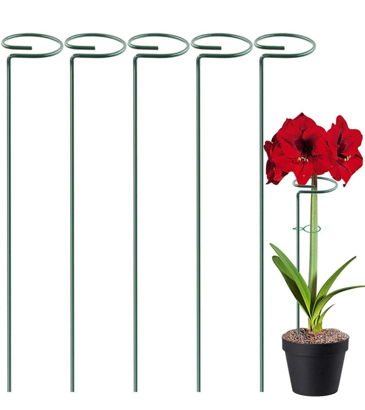 Garden plant support sticks set
