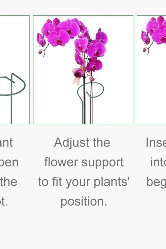 Garden plant support sticks set

