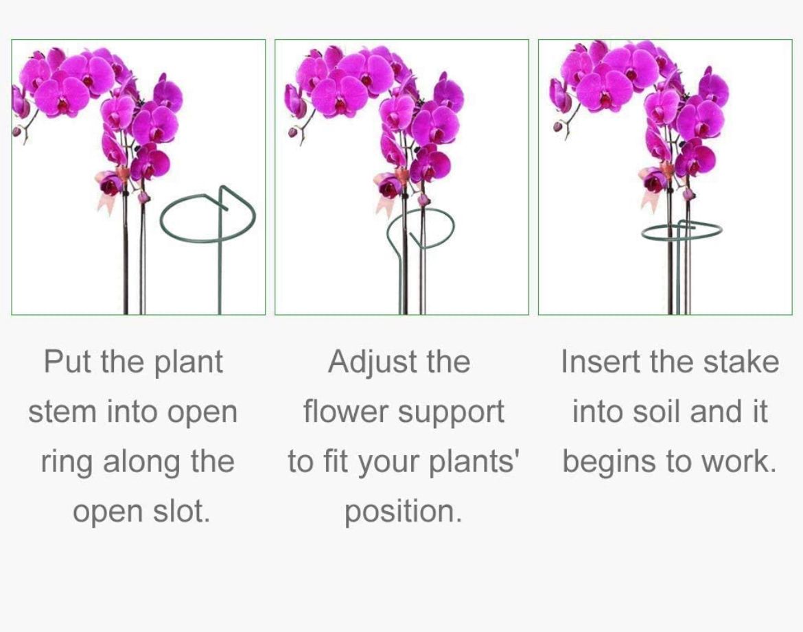Garden plant support sticks set

