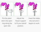 Gardening stake | Set of 5 | Plant growth support - Gardengram